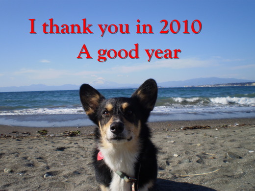 Good by 2010.jpg