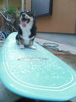 20060812112659.jpg