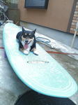 20060812112722.jpg