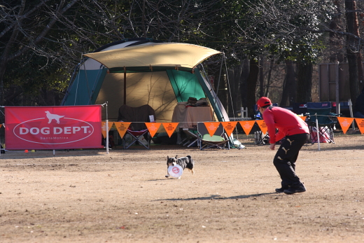 2010-01栄町8420.JPG