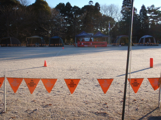 2010-01栄町8495.JPG