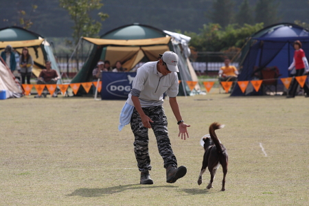 IMG_4700.JPG