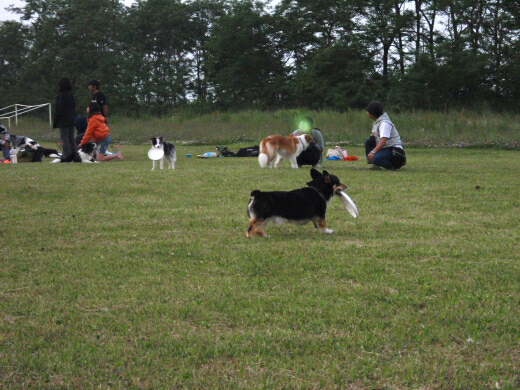 P1011223-3.JPG