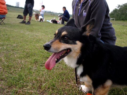 P1011226-2.JPG