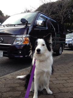 image-20131230214422.png