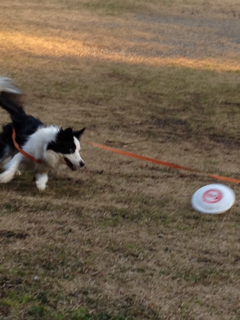 image-20131230220334.png