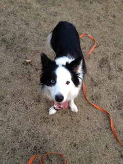image-20131230220350.png