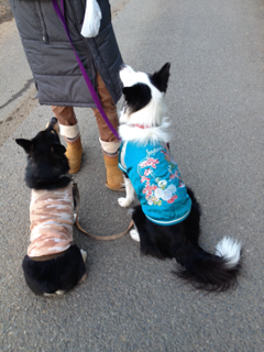 image-20140104230100.png