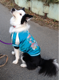 image-20140104230106.png