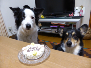 image-20140223222449.png