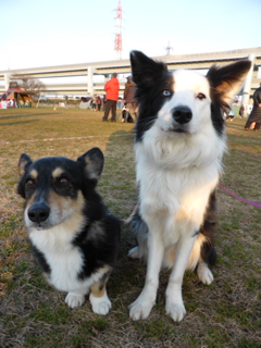 image-20140223222452.png